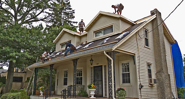 Roof Gutter Cleaning in South Whitley, IN